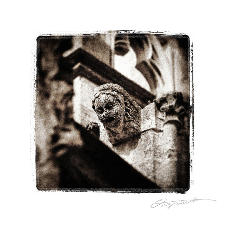 Fotografía titulada "Gardienne en suspen…" por Gilles Deschamps (OXPIRIT), Obra de arte original, Fotografía digital Montado…