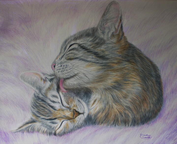 Resim,  11x12 in 