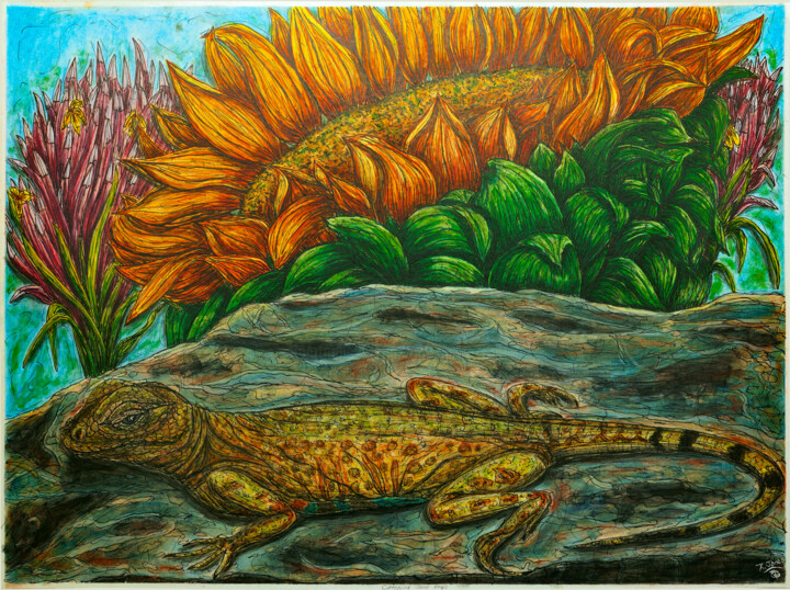 Catching Some Rays 绘画, 17.5x23.5 in