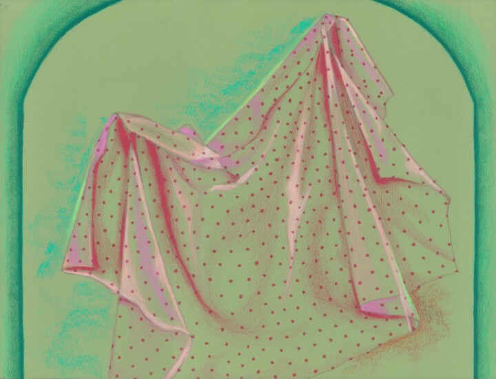 Red Tulle One 图画, 13x17 in