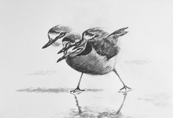 gravelot 7 绘画, 11.3x16.5 in