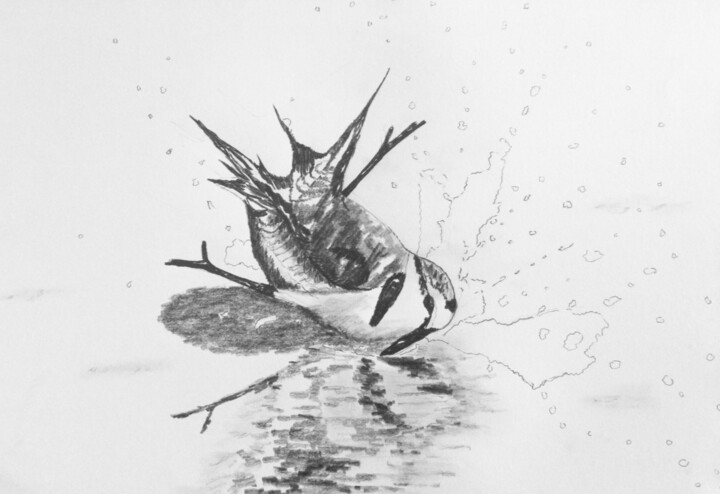 Gravelot 4 Σχέδιο, 11,7x16,5 in