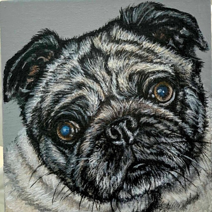 绘画 标题为“dog. Pug” 由Antonina Pavlic, 原创艺术品, 丙烯