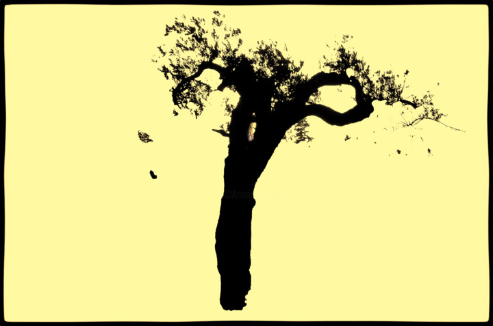 Photography titled "Her answers were bl…" by Frank Verreyken, Original Artwork, Digital Photography