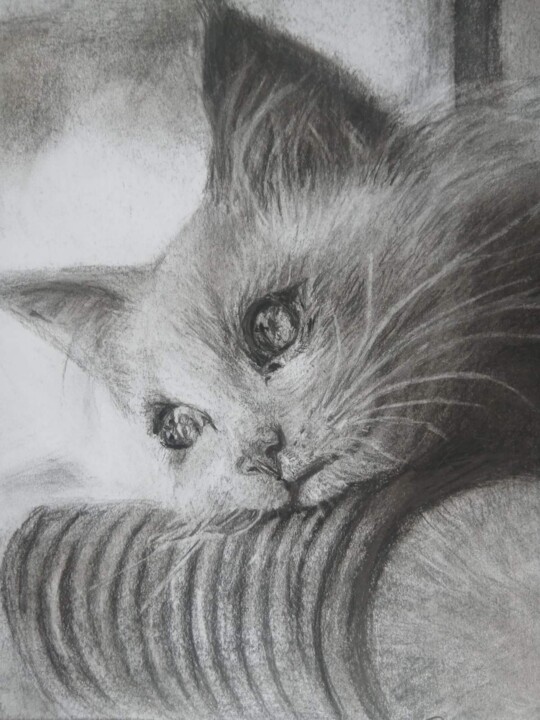 О чем думают кошки? 图画, 11.7x8.3 in