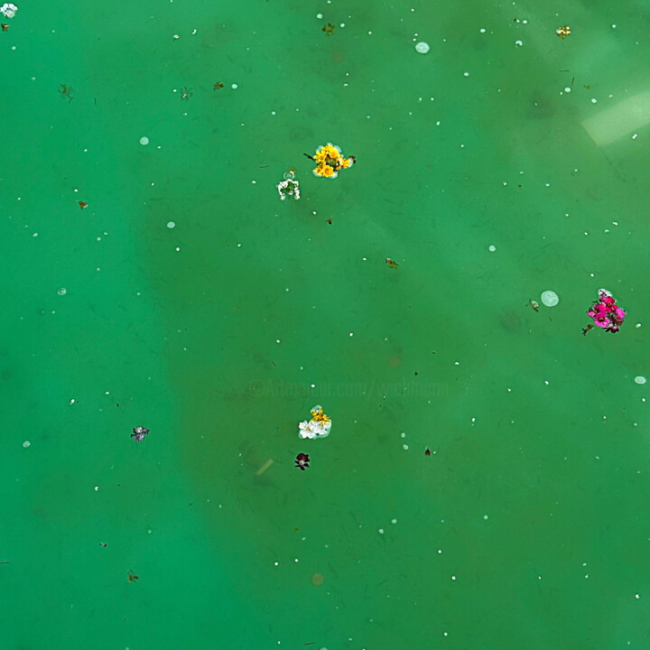 Schwimmende Blüten Fotografia, 19,7x19,7 in