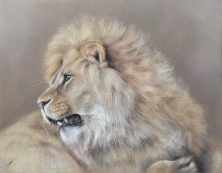 Lion profile 图画, 13.8x17.7 in