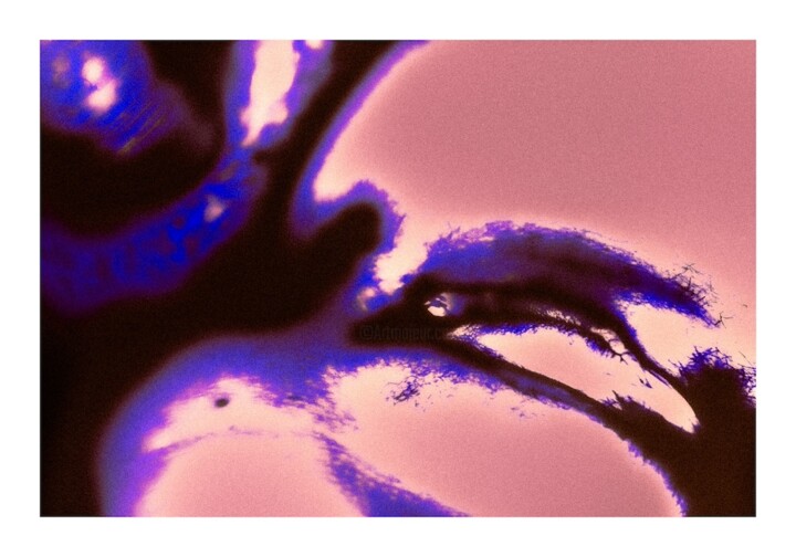 VOICE OF SILENCE "DESIRE" Fotografia, 23,6x35,4 in