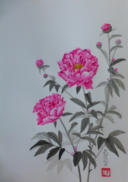 Pivoines Desenho, 16,5x11,8 in