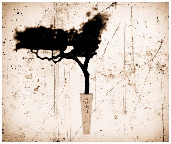 Photography titled "Noble Fragrance" by Frank Verreyken, Original Artwork, Digital Photography