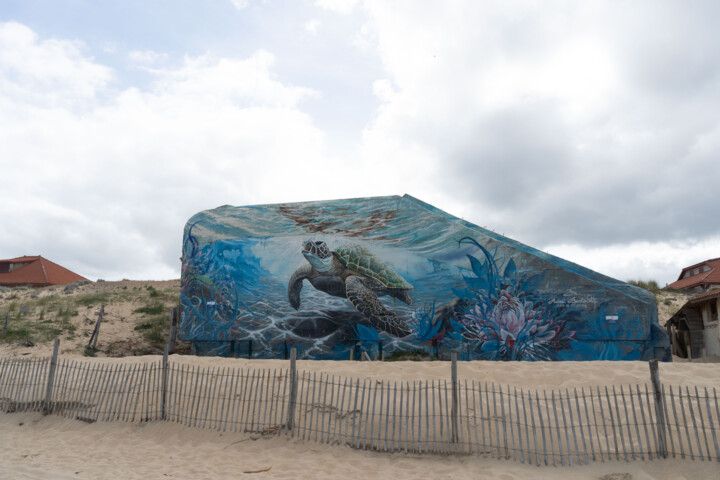 Blockhaus tortue Vieux Boucau 摄影