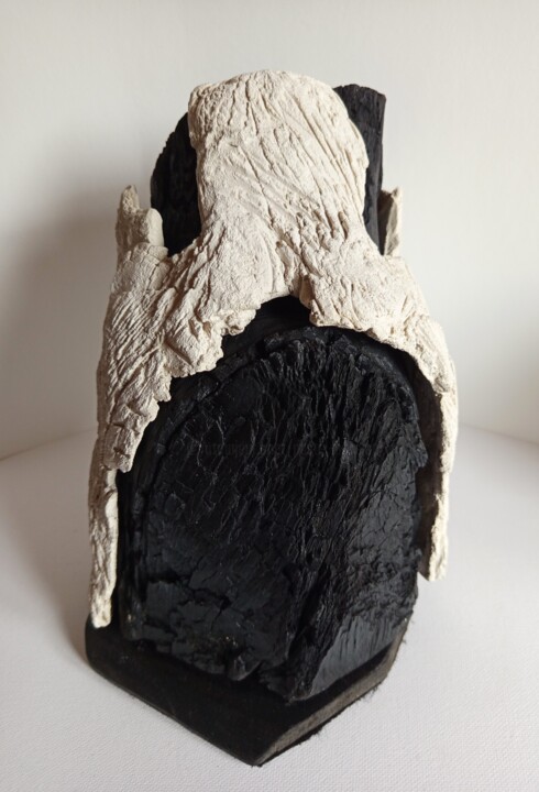 Sculptuur getiteld "Sans titre 2025 060…" door Dominique Jolivet, Origineel Kunstwerk, Hout