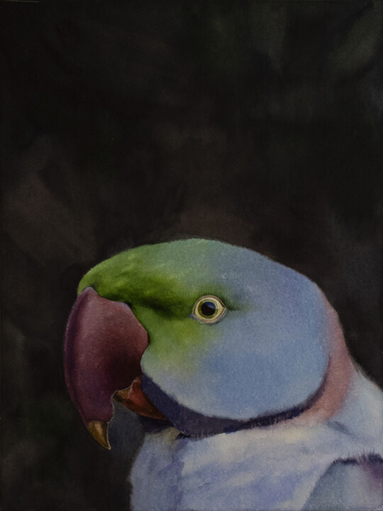 绘画,  15.8x11.8 in 