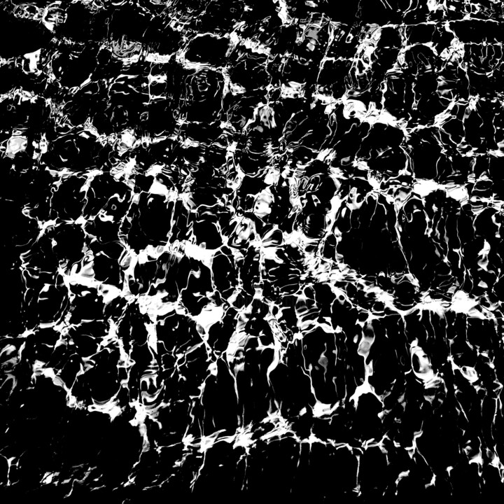 Connexion Fotografia