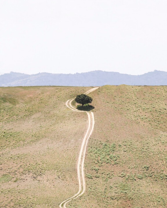 Photography titled "Path of Respect" by Alireza Bagheri Sani, Original Artwork, Digital Photography Mounted on artwork_cat.