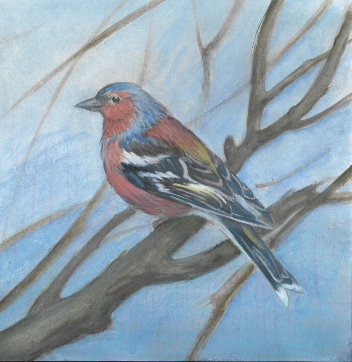 familiar bird 绘画, 8x7.9 in