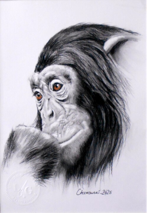 Portrait of a chimpanzee 图画, 11.7x8.3 in