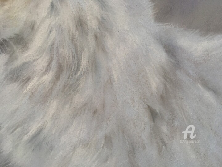 Λεπτομέρειες