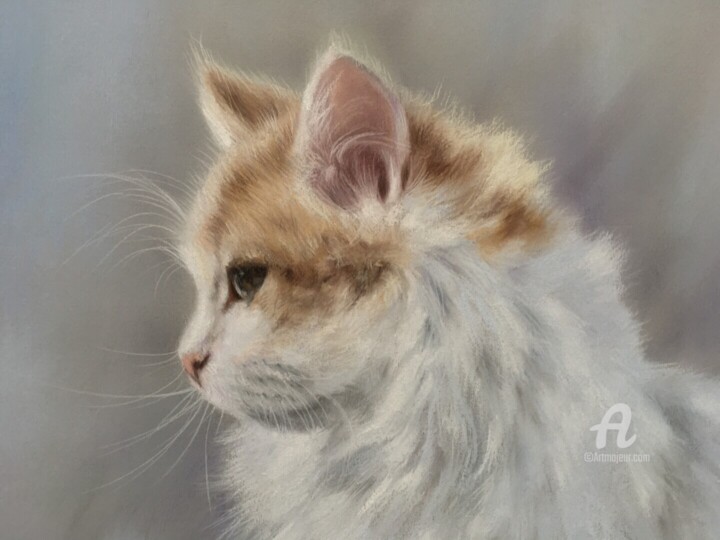 Λεπτομέρειες