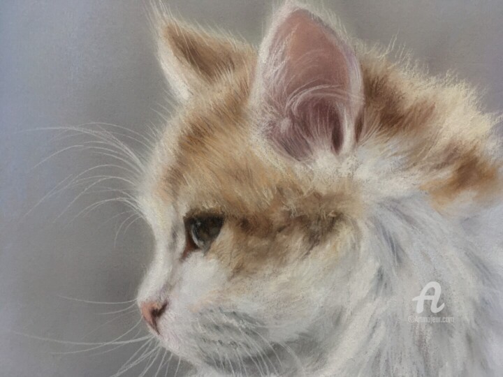 Λεπτομέρειες