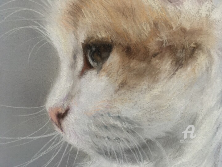 Λεπτομέρειες