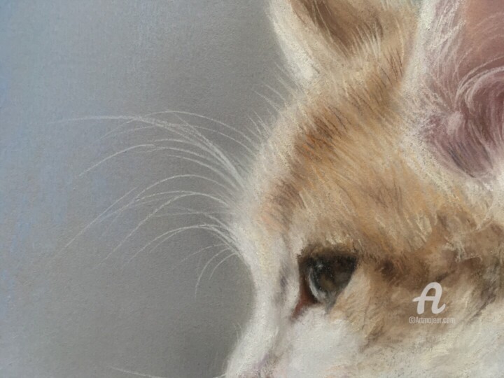 Λεπτομέρειες