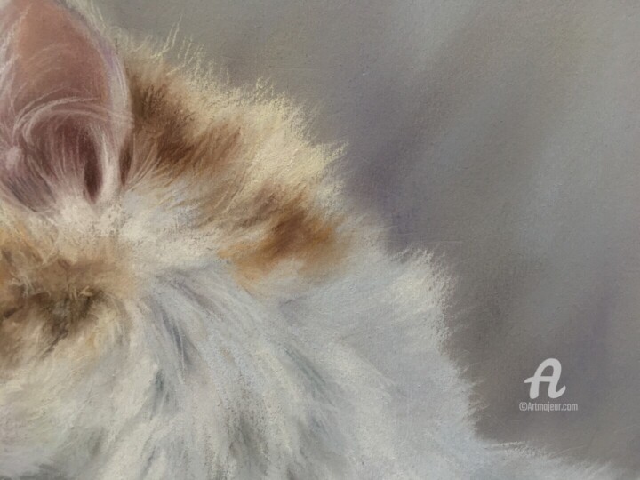 Λεπτομέρειες