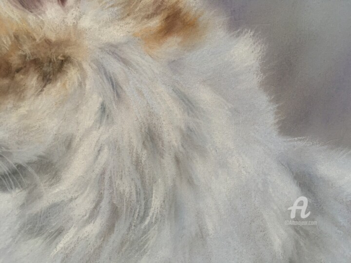 Λεπτομέρειες