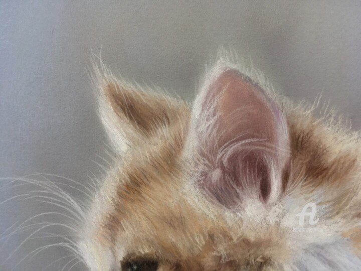 Λεπτομέρειες