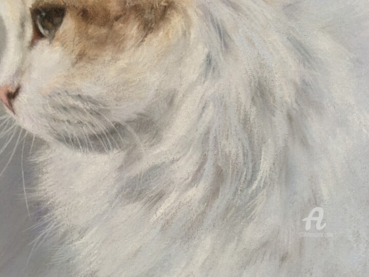 Λεπτομέρειες