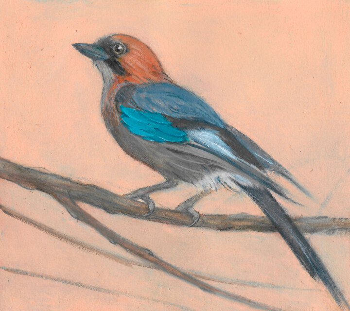 familiar starling 绘画, 5.8x6.5 in