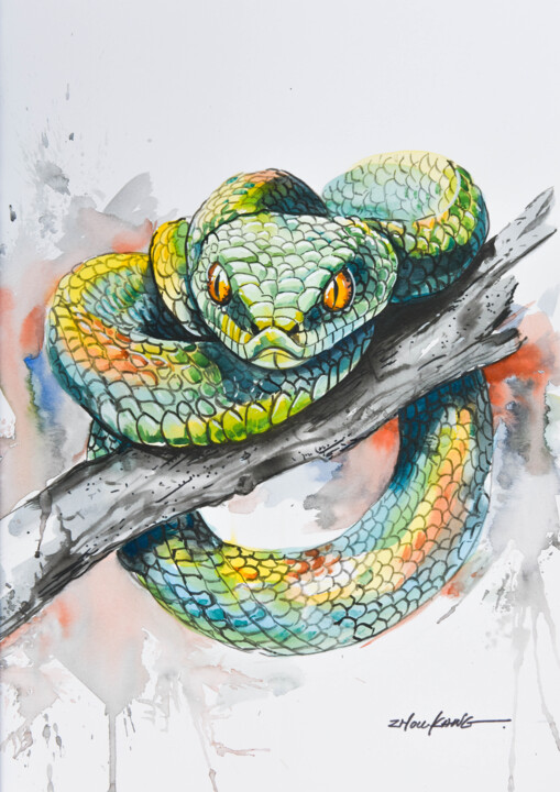 snake 绘画, 15.8x11.8 in