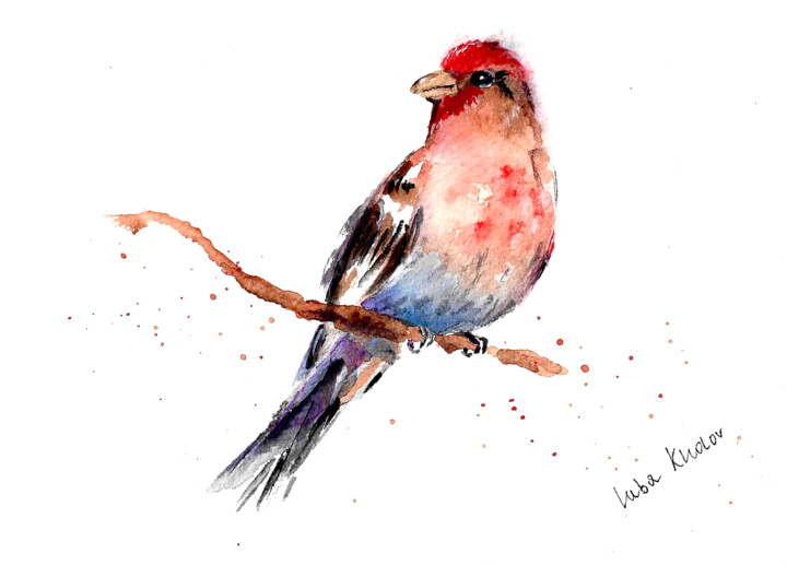 Brooklyn House Finch Watercolor Sketch – Songbird Art Картина, 7x5 in