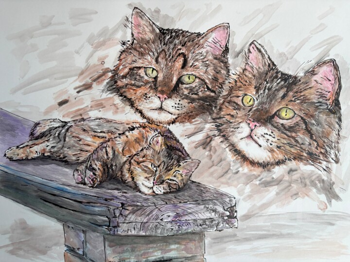 9 Lives 图画, 19.7x25.6 in