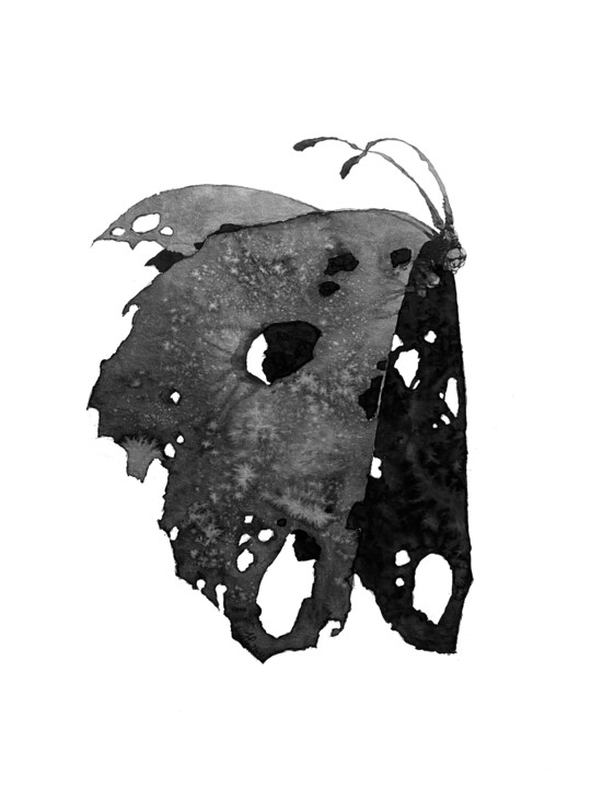 Survivour_01_Butterfly Malarstwo, 18,9x14,2 in