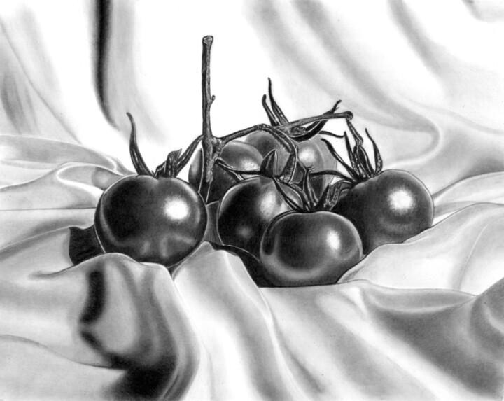 Drawing titled "Vine Tomatoes" by Paul Stowe, Original Artwork, Pencil