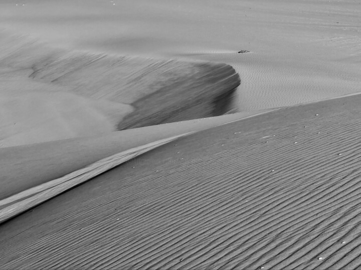 Photography titled "Untitled" by Alex Zavitan, Original Artwork, Digital Photography