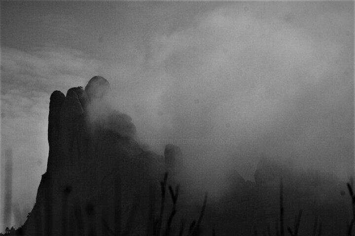 Photography titled "Untitled" by Alex Zavitan, Original Artwork, Analog photography