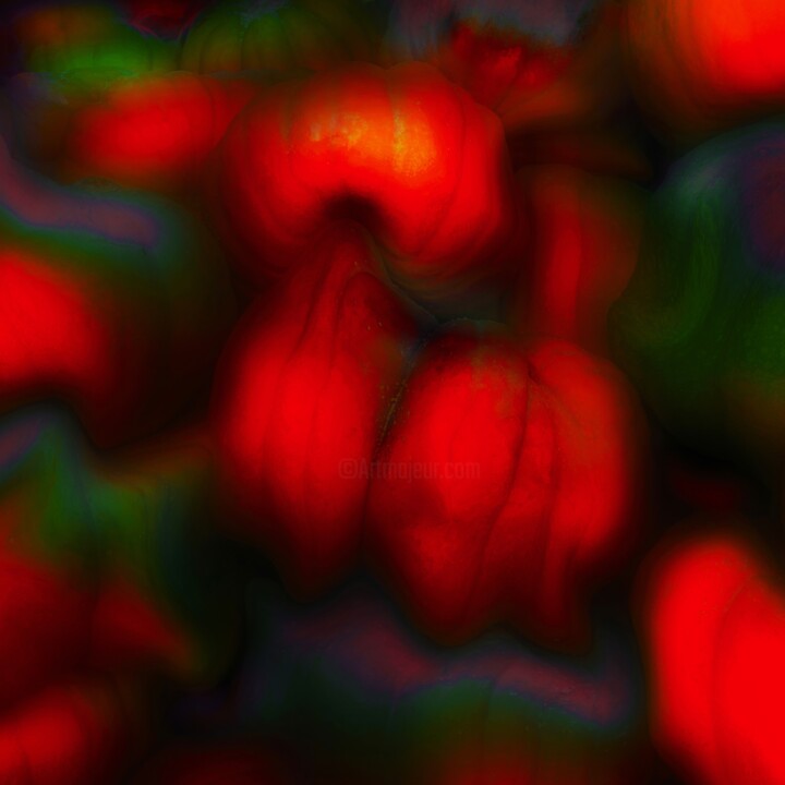 New Harvest 摄影