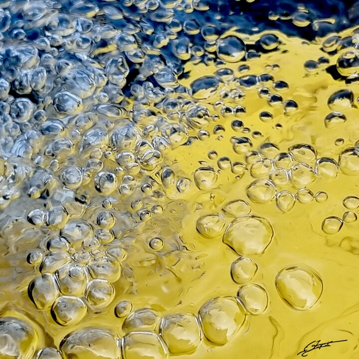 Yellow Fotografia