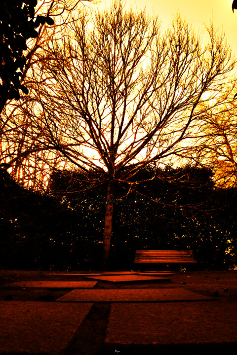 Copp 009 Photography