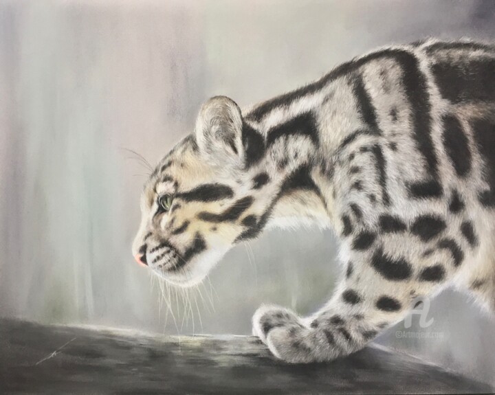 Clouded Leopard. Σχέδιο, 13x16,5 in