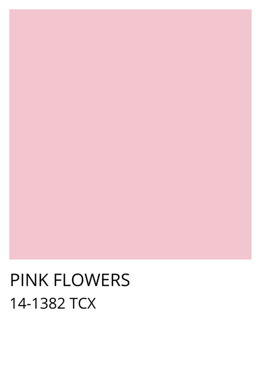 Soft Pink Elegance 数字艺术, 46.5x65.1 in
