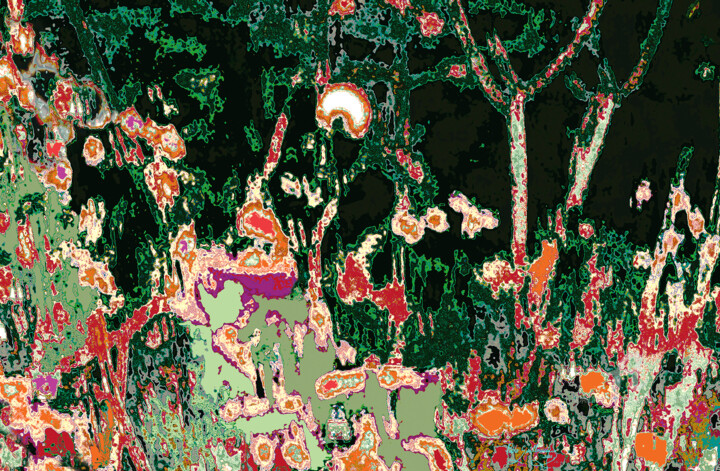 Mizala Forest-1 Fotografie, 31,5x47,2 in