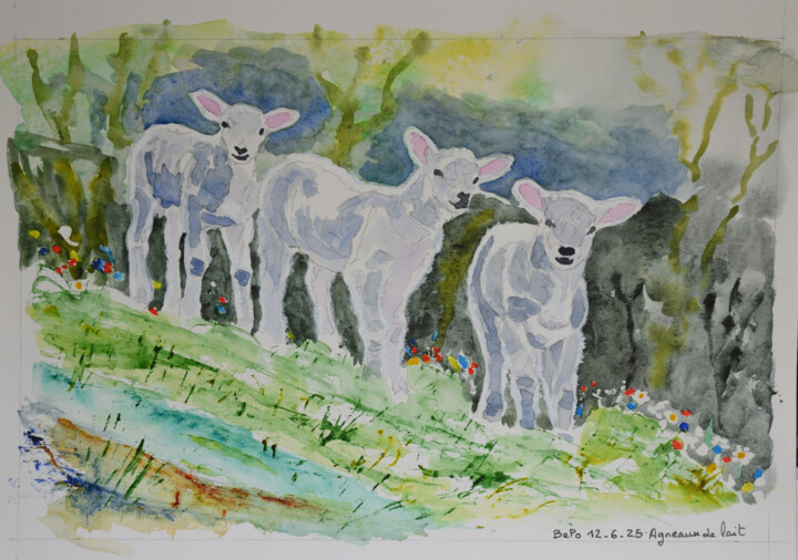 Agneaux de lait 绘画, 9.5x14.2 in