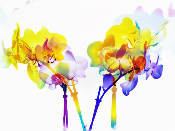 Prenten & gravures getiteld "Chromatic Blossoms" door Lewis R Freitag I I I, Origineel Kunstwerk, Digitale afdruk Gemonteerd…