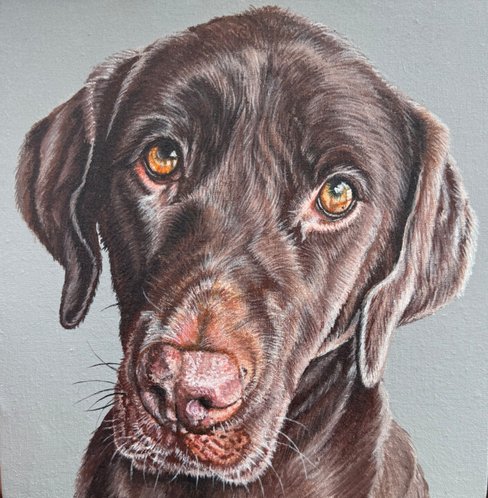 绘画 标题为“Portrait of a Labra…” 由Antonina Pavlic, 原创艺术品, 丙烯