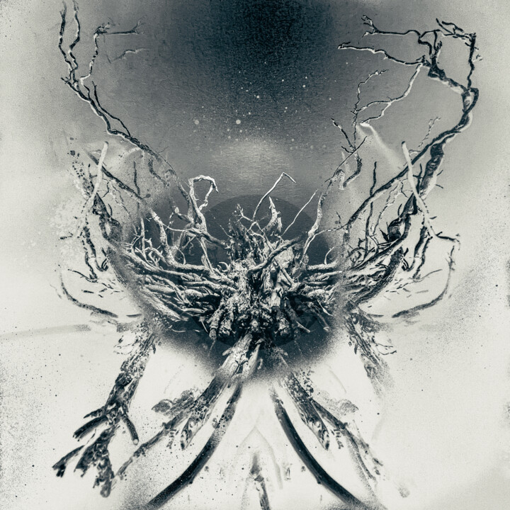 "NNS1" başlıklı Dijital Sanat Bibs tarafından, Orijinal sanat, Dijital Resim