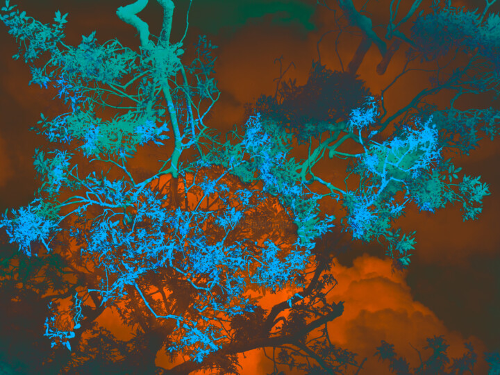 Photography titled "DS 01" by Aurélien Bellido, Original Artwork, Manipulated Photography