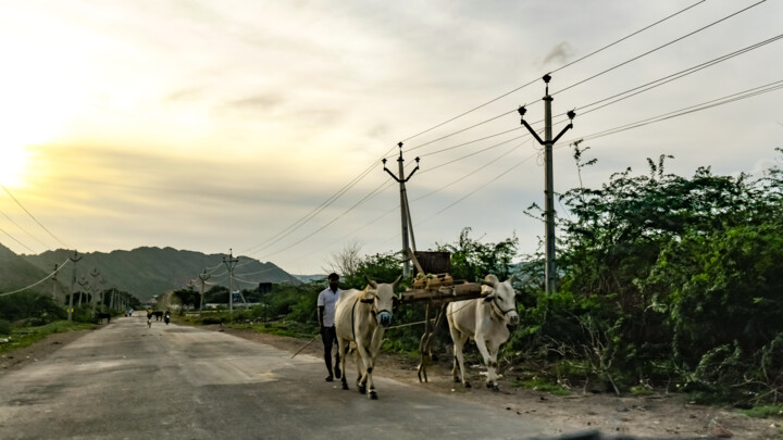 Photography titled "Rameswaram-3" by Goutam Chakraborty, Original Artwork, Digital Photography
